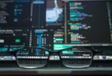 professional software systems support